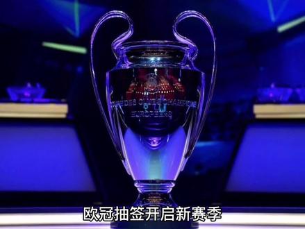项关于
